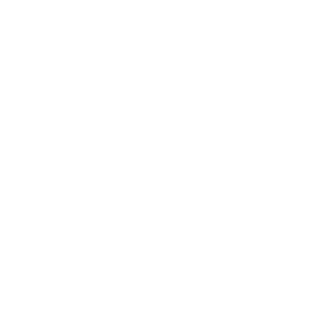 MG Logo