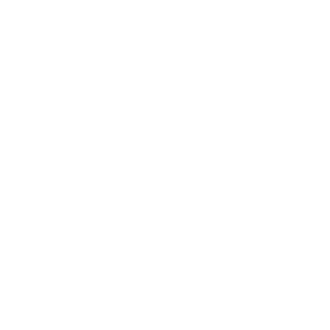 Ceat Logo