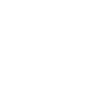 TribalXperience BMW Logo